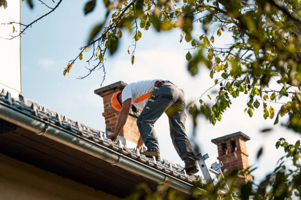 Best Roof Gutter Cleaning  in Woodmoor, CO